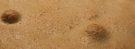 брусничный пай под хрустящим облаком из безе. Шаг 4