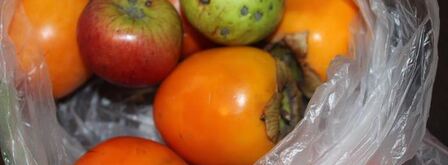 чизкейк халва-хурма. Шаг 4