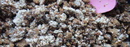 грушевые лодочки с пряником и халвой. Шаг 10