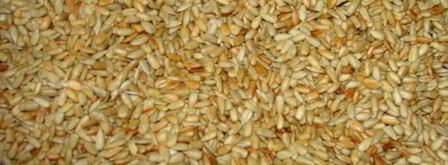 халва домашняя. Шаг 3