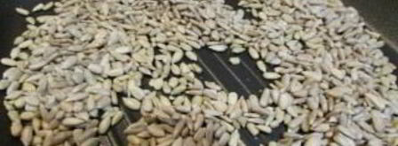 халва подсолнечная нежная. Шаг 3