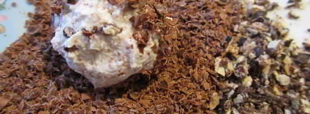 творожные конфеты страсть. Шаг 7