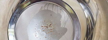 классическое крем-брюле с мадагаскарской ванилью. Шаг 3