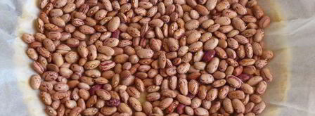 кростата с клубникой и миндальным заварным кремом. Шаг 10