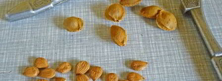 абрикосовый мармелад. Шаг 4