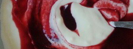 домашнее мороженое из ягод и йогурта. Шаг 6