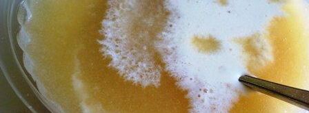 мороженое из дыни с медом. Шаг 6