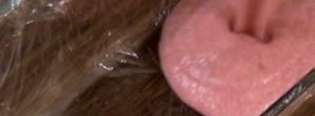 мороженое семифредо с клубникой. Шаг 5