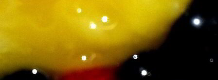 мороженое в ягодном раю. Шаг 7