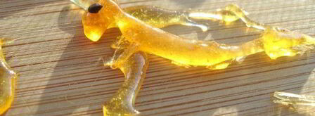 ванильное мороженое и груша-пашот сладкая парочка. Шаг 8