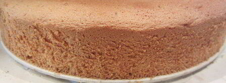 торт-мусс из апельсинового бисквита, винного крем-мусса и розового винограда. Шаг 14