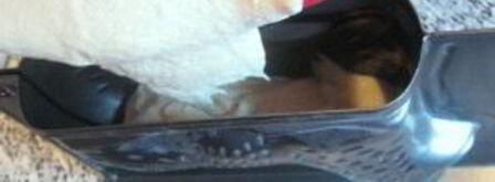 пасхальный ягненок. Шаг 7