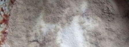 пудинг из печени говяжьей. Шаг 4