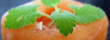 абрикосовый щербет. Шаг 5