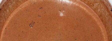 домашний щербет. Шаг 3