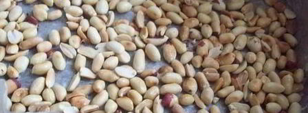 вареный молочный сахар. Шаг 8