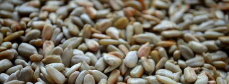 суфле из сельдерея с курагой. Шаг 5