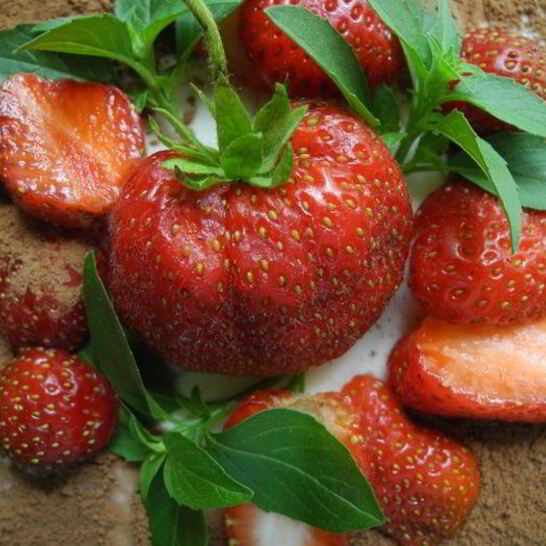 Рецепт фантазий на тему тирамису