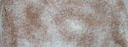 тирамису с перепелиными яйцами. Шаг 7