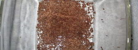 тирамису вишня в шоколаде. Шаг 6