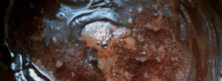 трюфели с игристым вином. Шаг 3