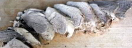 бешбармак из свинины. Шаг 6