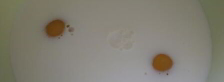 блинная лапша с грибами. Шаг 6