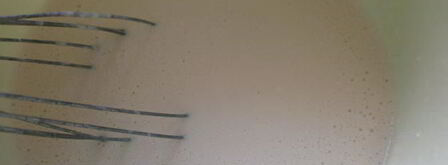 блинная лапша с грибами. Шаг 8