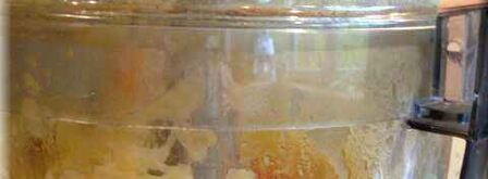 колдуны из картофеля с фаршем. Шаг 8