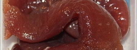 форшмак имени сырожиной бабушки. Шаг 4