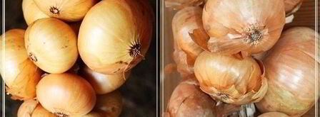 форшмак имени сырожиной бабушки. Шаг 7