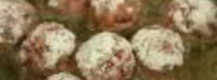 фрикадельки в соусе из оливок. Шаг 5