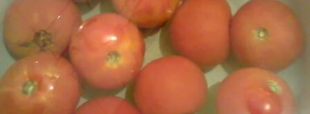 долма с баклажаном и болгарским перцем. Шаг 3