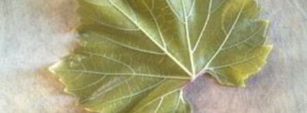 голубцы из виноградных листьев. Шаг 8