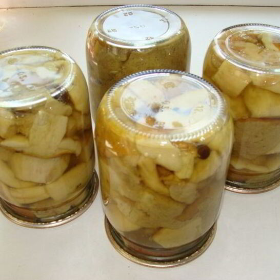 Рецепт грибов белых