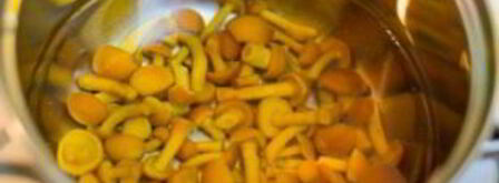 грибы лисички. Шаг 3