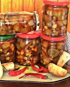 Грибы в маринаде