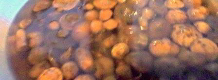 грибы в маринаде. Шаг 5