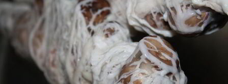 луговые шампиньоны в жировой сетке на мангале. Шаг 3