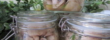 шампиньоны с розмарином и чесноком. Шаг 8