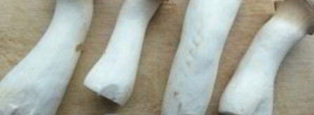 запеченные вешенки. Шаг 3