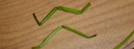 картофельное пюре паучки. Шаг 4