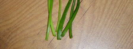 картофельное пюре паучки. Шаг 5