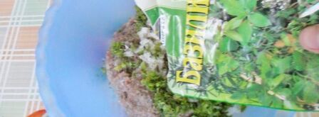 казан котлеты, котлеты в кастрюле. Шаг 6