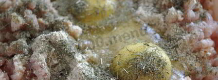 нежные куриные котлетки. Шаг 5