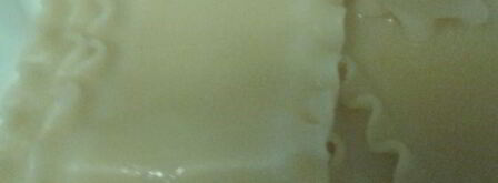 лазанья с кабачками, шпинатом и сладким перцем. Шаг 3