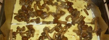 лазанья с опятами. Шаг 5