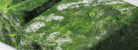 лазанья в рулетиках. Шаг 6