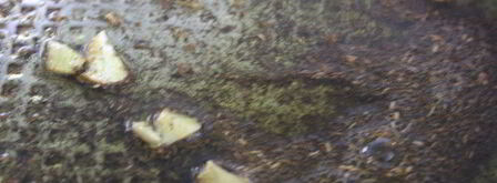 спагетти с дарами моря и маслинами. Шаг 7