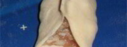 манты узбекские. Шаг 10